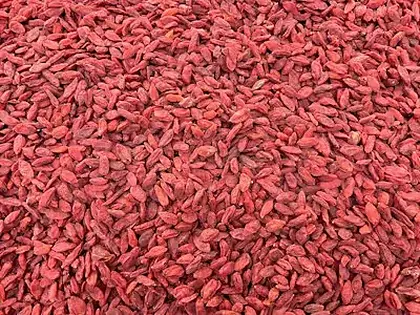 Goji Berry ingredient